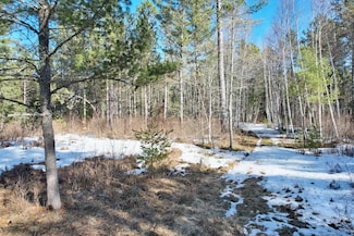 Off Spirit Wood Tr, Land O' Lakes, WI 54540