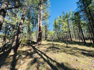 2549 Pine Valley Rd Unit 681, Happy Jack, AZ 86024