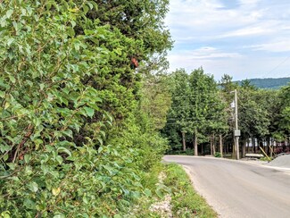 000 Clevenger Cove Rd, Ridgedale, MO 65672