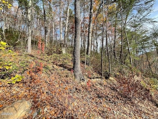 Lot 36R Sugar Mountain Way, Pigeon Forge, TN 37863