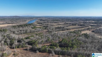 0 Bates Rd Unit 21407344, Vincent, AL 35178