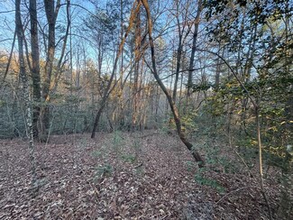 Lot 52 Charlottes Web, Ellijay, KY 40540