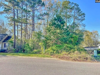313 Downs Dr, Columbia, SC 29209