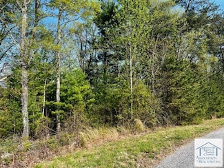 lot 31 Pine Knoll Farms Loop, Patrick Springs, VA 24171