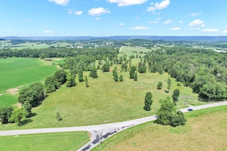 0 Double South Rd Parcel 22, Dayton, TN 37321