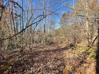 567 Beatys Chapel Rd, Tellico Plains, TN 37385