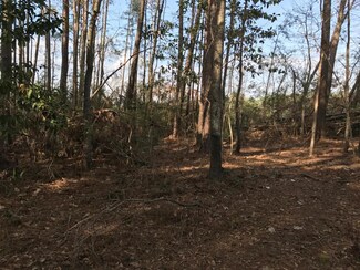 0 Jumbi Ace Trail Unit 19002758, Johns Island, SC 29455