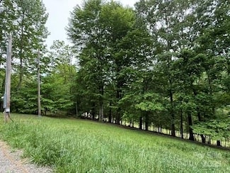 25 Mace Rd, Marshall, NC 28753
