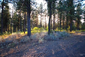 L5B4 Syringa Dr, New Meadows, ID 83654