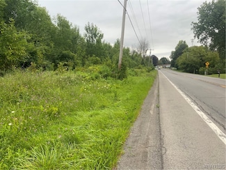 00 N Gravel Rd, Ridgeway, NY 14103