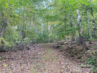 TBD Potts Branch Rd, Franklin, NC 28734