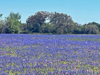 10698 Fm 1227 Rd, Navasota, TX 77868