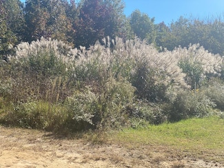 179W1 Cherry Hill Ct Unit 179W1, Hallwood, VA 23359