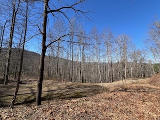 #42 Witch Hazel Dr, Franklin, NC 28734