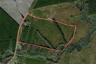 7175 Beef Steak Rd, Waverly, VA 23890