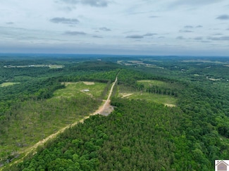 000 Cedar Grove Rd Unit (Livingston Co. KY 9, Salem, KY 42078