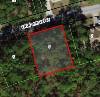 39 Fringetree St, Sugarmill Woods, FL 34446
