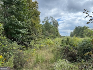 0 Magnolia St Unit 10614572, Bowdon, GA 30108