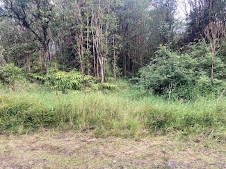 0 Road 5 Unit 717454, Volcano, HI 96785
