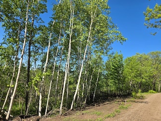 XXXXX 360th St, Bradbury Township, MN 56359