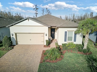 18629 Coastal Shore Terrace, Land O' Lakes, FL 34638