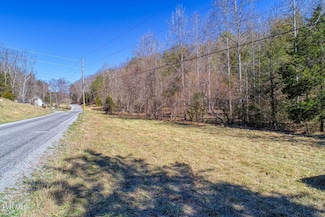 Tbd Devils Nose Rd, Rogersville, TN 37857