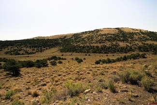 0 Tract 12c Pronghorn Trail, Del Norte, CO 81132