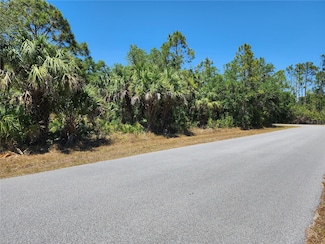 15186 Elwood Ave, Port Charlotte, FL 33953