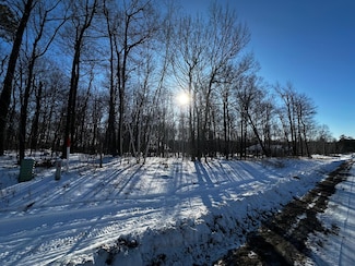 TBD Fox Run Ln, Cuyuna, MN 56444