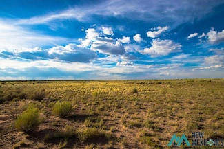 Lot 3 Jones Ranch Rd, Vanderwagen, NM 87326