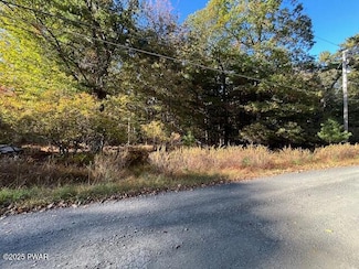 Lot 247 Squirrel Rd, Delaware Township, PA 18328