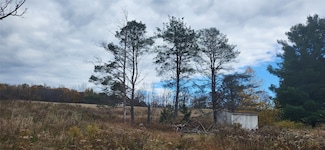 270 Lewis St, Endicott, NY 13760