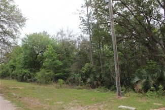 4346 Casaurina Rd, Lady Lake, FL 32159