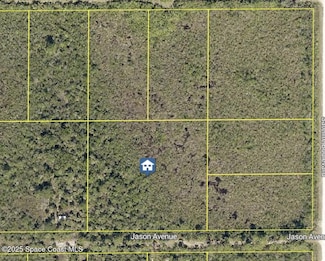 0003 Jason Ave, West Canaveral Groves, FL 32926