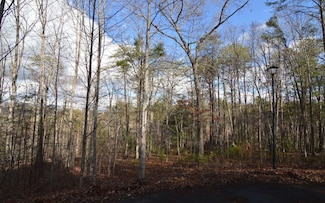 Lot 26 Coosa Bend Dr, Blairsville, GA 30512