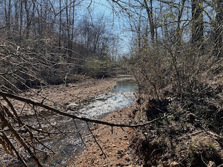 0 Earl Coppage Rd, Big Rock, TN 37023