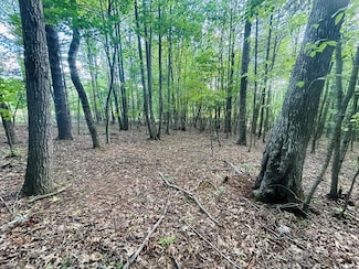 TBD Pipers Gap Rd, Galax, VA 24333