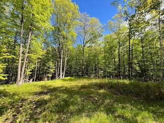 19.95 Acres Old Elcho Rd, Pelican Lake, WI 54463