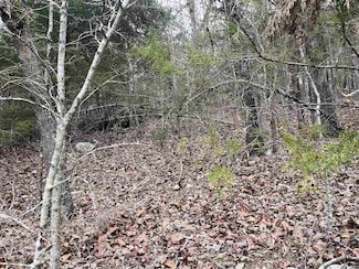 TBD Isleta Dr, Cherokee Village, AR 72529