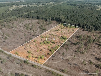 04 Lucas Hollow Rd, Mt. Olive, MS 39119