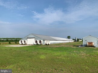 1502 Boston Rd, Pocomoke City, MD 21851