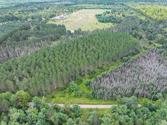 5 AC ON Black Bear Ln, Phelps, WI 54554