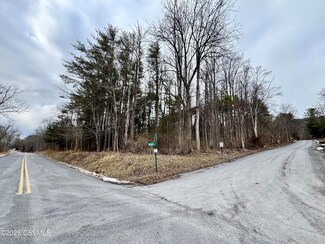 139 Blacks Ln, West Cameron Township, PA 17872