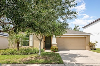 10036 Crested Fringe Dr, Riverview, FL 33578