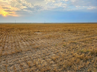 TBD E 106th Ave, Hudson, CO 80642