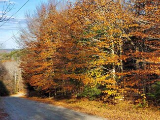 0 Danbury Woods Rd Unit 64,65,66 4844144, Danbury, NH 03230