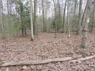 66 B Callender Rd, Hunlock Creek, PA 18621