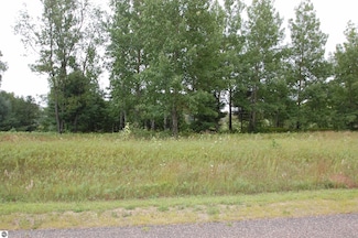 0 Arthur Ct Unit 1926536, West Branch Township, MI 48661