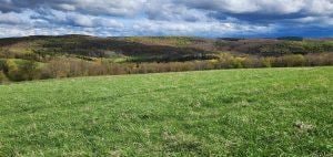 0 New Turnpike Rd, Sherburne, NY 13460