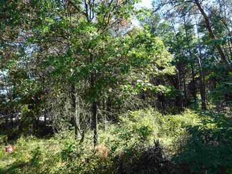 Lot 136 Pine Ln, Germantown, WI 53950